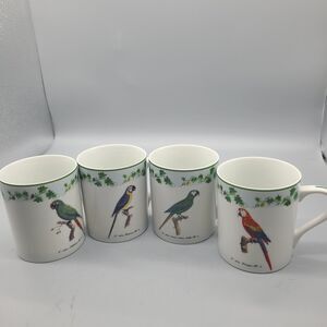 Andrea by Sadek Set  (4) Mugs Monticello Parrots Coffee Tea Cups 8 oz New